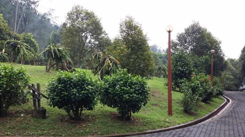 Residential Land for Sale in Janda Baik (Bentong) - Christina Lesslar - PropertyGuru.com.my