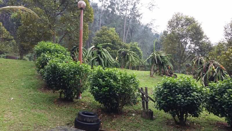 Residential Land for Sale in Janda Baik (Bentong) - Christina Lesslar - PropertyGuru.com.my
