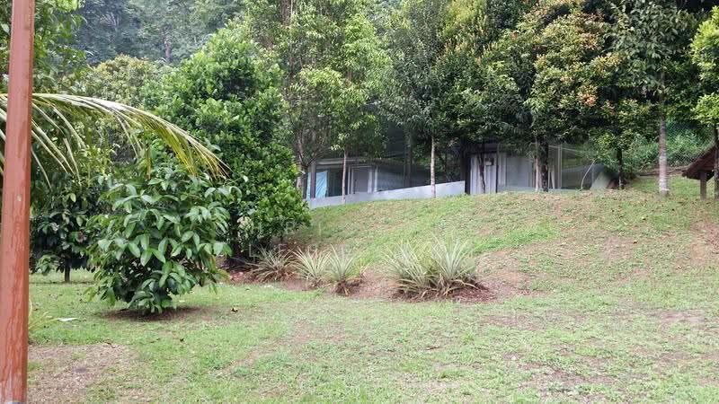 Residential Land for Sale in Janda Baik (Bentong) - Christina Lesslar - PropertyGuru.com.my