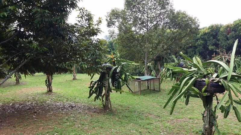 Residential Land for Sale in Janda Baik (Bentong) - Christina Lesslar - PropertyGuru.com.my