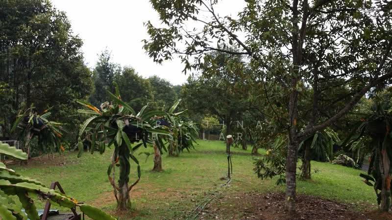 Residential Land for Sale in Janda Baik (Bentong) - Christina Lesslar - PropertyGuru.com.my