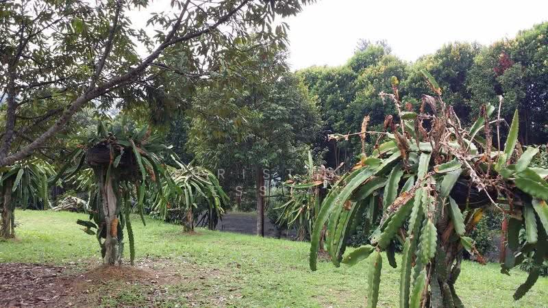 Residential Land for Sale in Janda Baik (Bentong) - Christina Lesslar - PropertyGuru.com.my