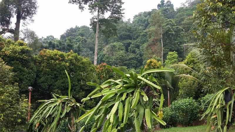 Residential Land for Sale in Janda Baik (Bentong) - Christina Lesslar - PropertyGuru.com.my