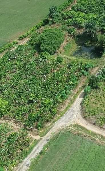Tanah Perindustrian untuk Dijual di Taman Desa Cemerlang (Ulu Tiram) - KS Chin - Garden - PropertyGuru.com.my