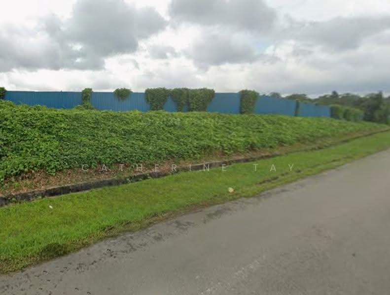 Tanah Pertanian untuk Dijual di Kota Tinggi (Johor) - Catherine Tay - Exterior - PropertyGuru.com.my