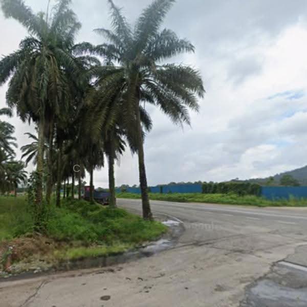 Tanah Pertanian untuk Dijual di Kota Tinggi (Johor) - Catherine Tay - Exterior - PropertyGuru.com.my