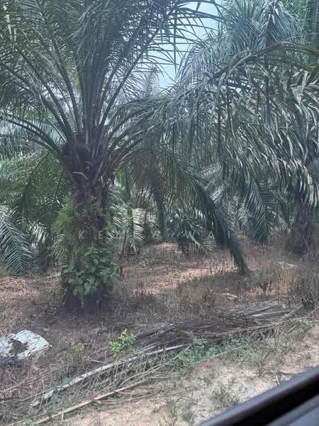 Agricultural Land for Sale in Johol (Negeri Sembilan) - Kelly Wai - Exterior - PropertyGuru.com.my