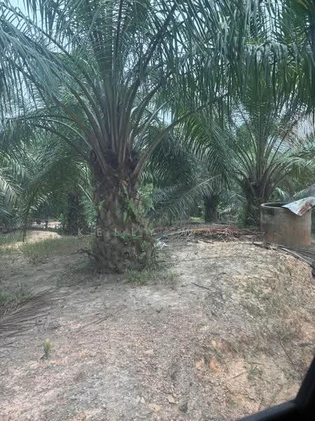 Agricultural Land for Sale in Johol (Negeri Sembilan) - Kelly Wai - Exterior - PropertyGuru.com.my