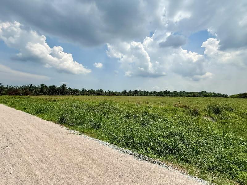 Agricultural Land for Sale in Parit Sikom (Pontian) - Xue Qi Wong - Exterior - PropertyGuru.com.my