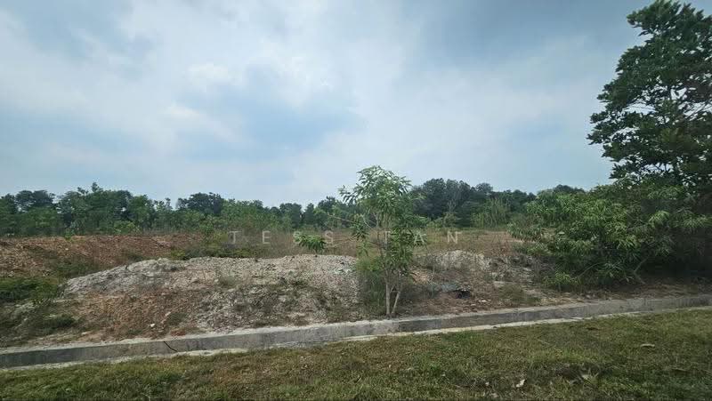 Tanah Perindustrian untuk Dijual di Taman Perindustrian Tanjong Minyak Perdana (Tanjong Minyak) - Tess Tan - Exterior - PropertyGuru.com.my
