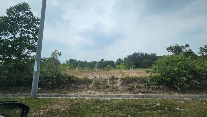 Tanah Perindustrian untuk Dijual di Taman Perindustrian Tanjong Minyak Perdana (Tanjong Minyak) - Tess Tan - Exterior - PropertyGuru.com.my