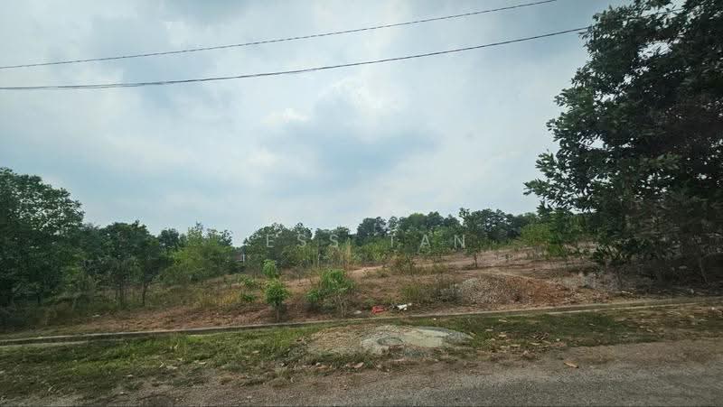 Tanah Perindustrian untuk Dijual di Taman Perindustrian Tanjong Minyak Perdana (Tanjong Minyak) - Tess Tan - Exterior - PropertyGuru.com.my