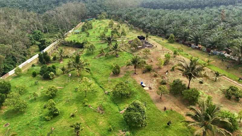 Tanah Pertanian untuk Dijual di Sungai Siput (Perak) - Cherie Chong - PropertyGuru.com.my