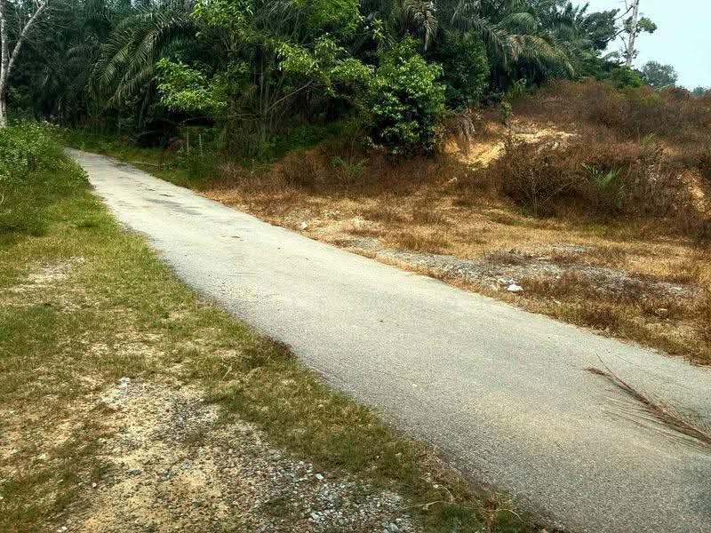 Tanah Pertanian untuk Dijual di Sungai Siput (Perak) - Cherie Chong - PropertyGuru.com.my
