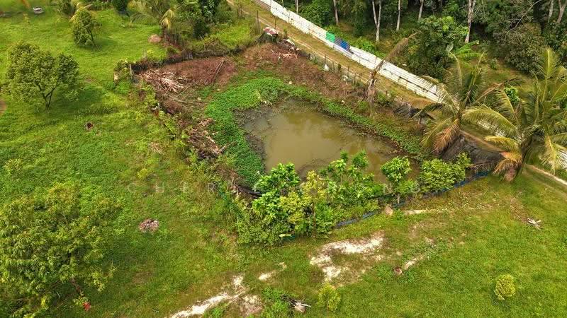 Tanah Pertanian untuk Dijual di Sungai Siput (Perak) - Cherie Chong - PropertyGuru.com.my