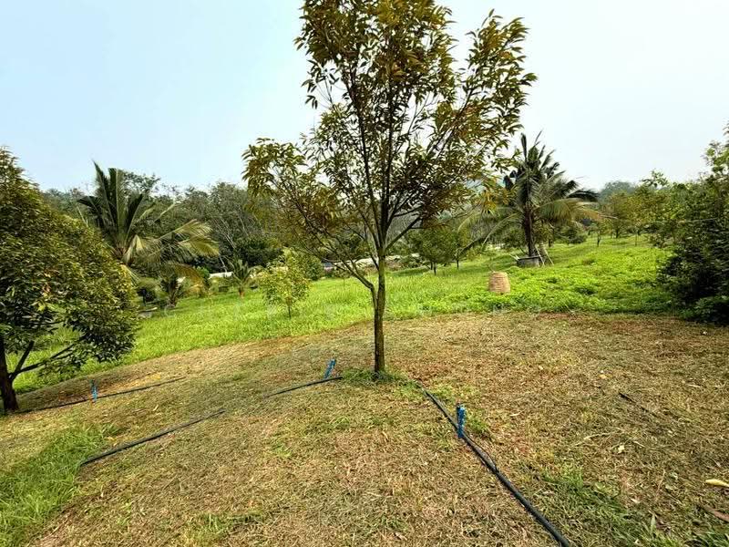 Tanah Pertanian untuk Dijual di Sungai Siput (Perak) - Cherie Chong - PropertyGuru.com.my