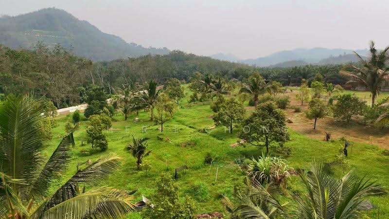 Tanah Pertanian untuk Dijual di Sungai Siput (Perak) - Cherie Chong - PropertyGuru.com.my