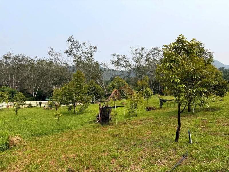 Tanah Pertanian untuk Dijual di Sungai Siput (Perak) - Cherie Chong - PropertyGuru.com.my