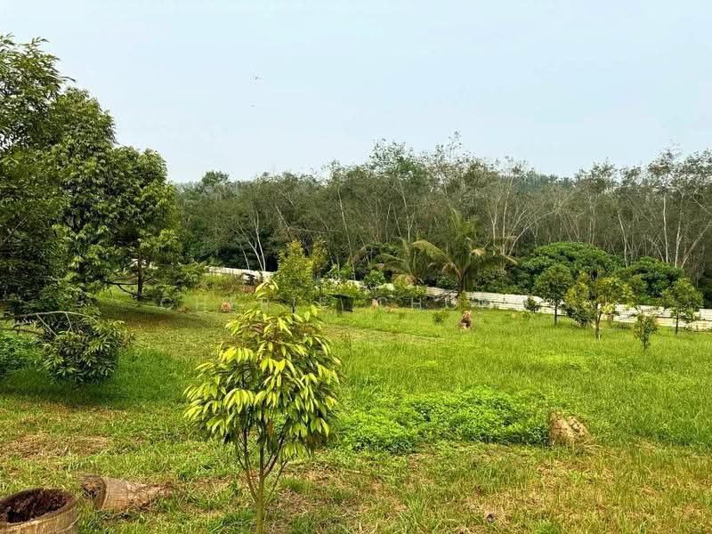 Tanah Pertanian untuk Dijual di Sungai Siput (Perak) - Cherie Chong - PropertyGuru.com.my