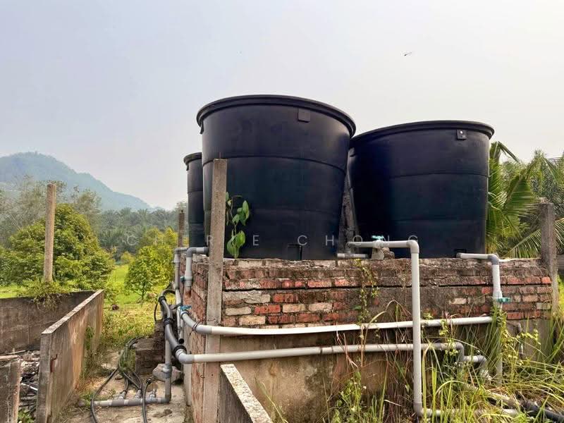 Tanah Pertanian untuk Dijual di Sungai Siput (Perak) - Cherie Chong - PropertyGuru.com.my