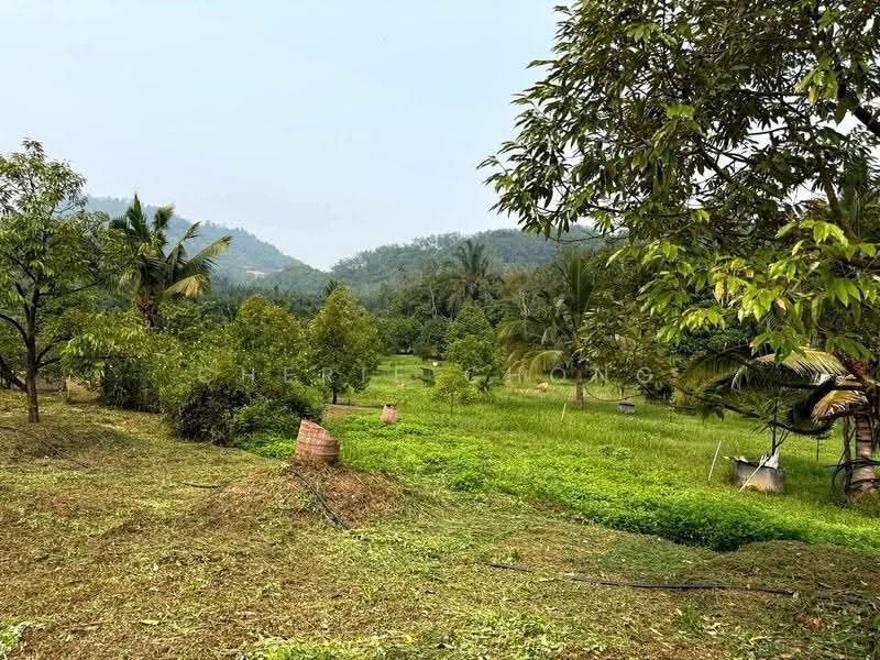 Tanah Pertanian untuk Dijual di Sungai Siput (Perak) - Cherie Chong - PropertyGuru.com.my