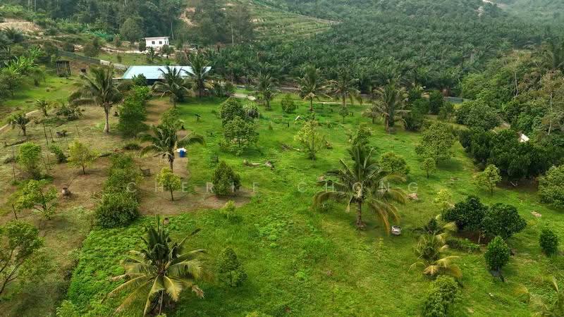 Tanah Pertanian untuk Dijual di Sungai Siput (Perak) - Cherie Chong - PropertyGuru.com.my
