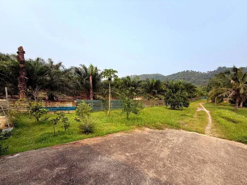 Tanah Pertanian untuk Dijual di Sungai Siput (Perak) - Cherie Chong - PropertyGuru.com.my