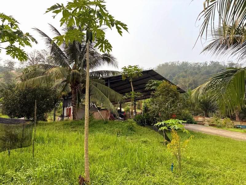 Tanah Pertanian untuk Dijual di Sungai Siput (Perak) - Cherie Chong - PropertyGuru.com.my