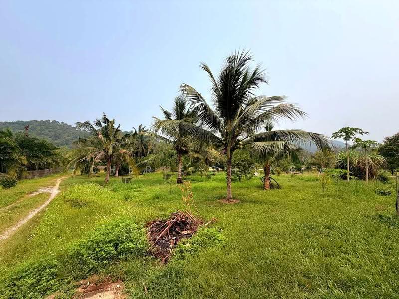 Tanah Pertanian untuk Dijual di Sungai Siput (Perak) - Cherie Chong - PropertyGuru.com.my