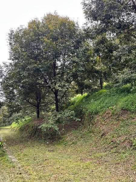 Tanah Pertanian untuk Dijual di Raub (Pahang) - Alvin Seah - Garden - PropertyGuru.com.my