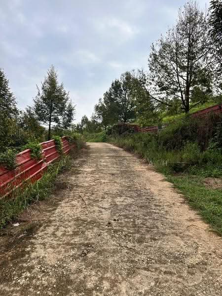 Tanah Pertanian untuk Dijual di Raub (Pahang) - Alvin Seah - Exterior - PropertyGuru.com.my