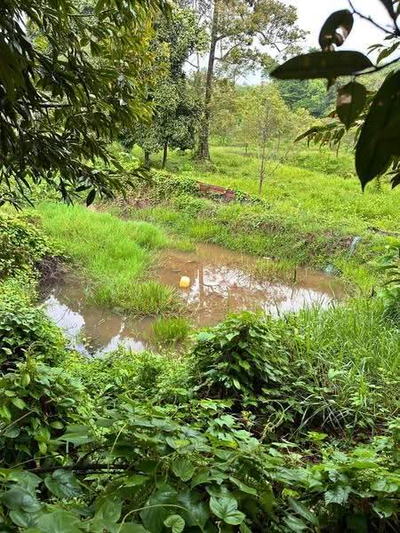 Tanah Pertanian untuk Dijual di Raub (Pahang) - Alvin Seah - Exterior - PropertyGuru.com.my