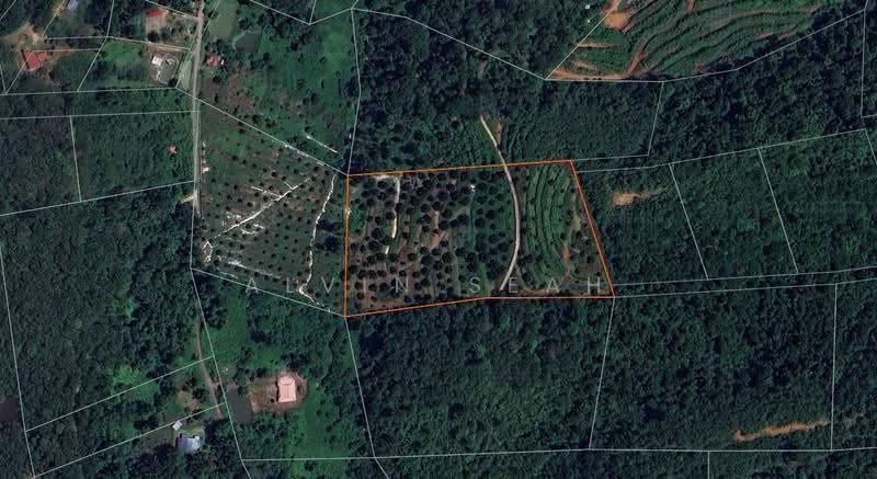 Tanah Pertanian untuk Dijual di Raub (Pahang) - Alvin Seah - Exterior - PropertyGuru.com.my