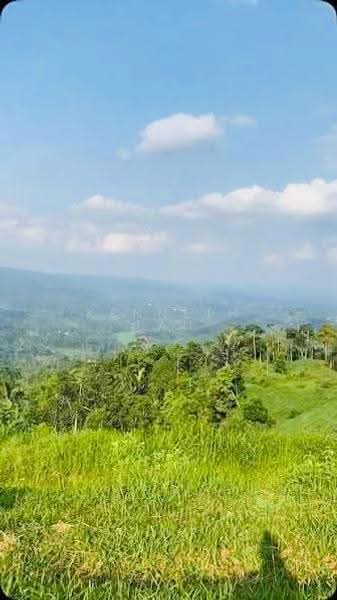 Tanah Pertanian untuk Dijual di Muadzam Shah (Pahang) - Kenneth Tan - Exterior - PropertyGuru.com.my