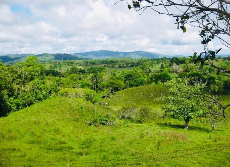 Tanah Pertanian untuk Dijual di Muadzam Shah (Pahang) - Kenneth Tan - Exterior - PropertyGuru.com.my