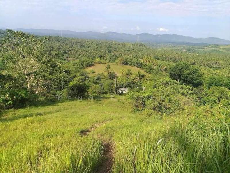 Tanah Pertanian untuk Dijual di Muadzam Shah (Pahang) - Kenneth Tan - Exterior - PropertyGuru.com.my