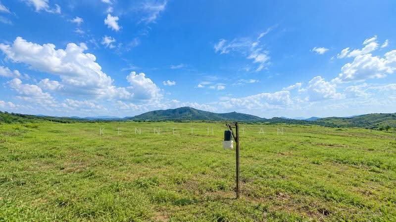 Tanah Pertanian untuk Dijual di Muadzam Shah (Pahang) - Kenneth Tan - Exterior - PropertyGuru.com.my