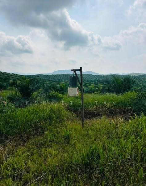 Tanah Pertanian untuk Dijual di Muadzam Shah (Pahang) - Kenneth Tan - Exterior - PropertyGuru.com.my