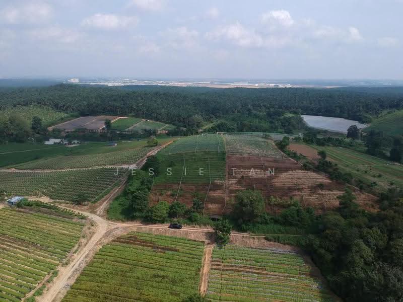 Agricultural Land for Sale in Kempas (Johor Bahru) - Jessie Tan - Exterior - PropertyGuru.com.my