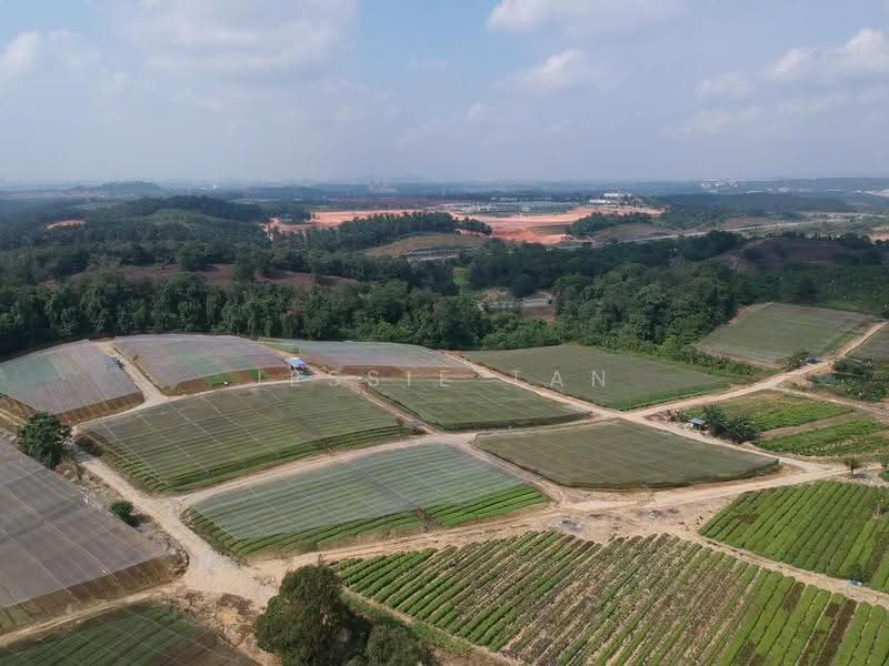 Agricultural Land for Sale in Kempas (Johor Bahru) - Jessie Tan - Exterior - PropertyGuru.com.my