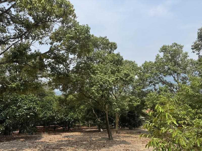 Tanah Pertanian untuk Dijual di Mantin (Negeri Sembilan) - Ray Goh - Garden - PropertyGuru.com.my