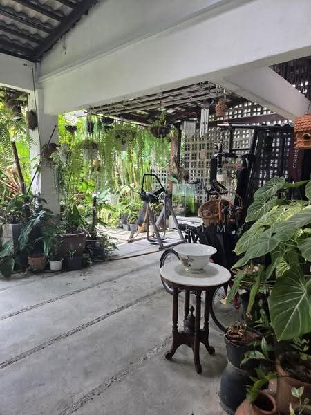 2-storey Terraced House for Rent in Petaling Jaya (Selangor) - Angel Lim - Garden - PropertyGuru.com.my