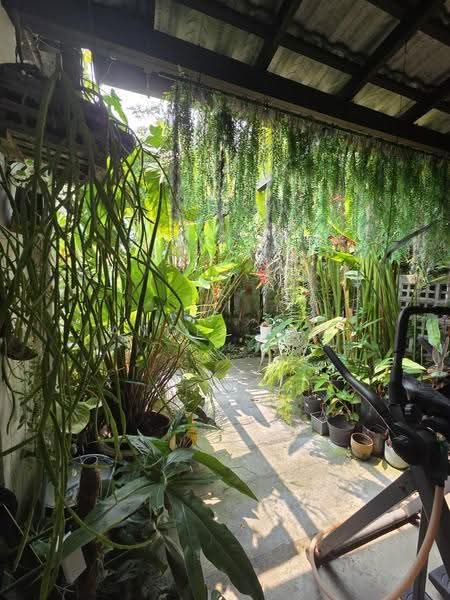 2-storey Terraced House for Rent in Petaling Jaya (Selangor) - Angel Lim - Garden - PropertyGuru.com.my