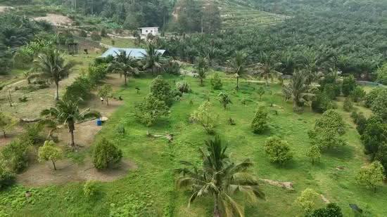 Tanah Pertanian untuk Dijual di Sungai Siput (Perak) - Gary Tang - PropertyGuru.com.my
