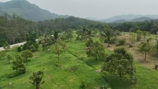 Tanah Pertanian untuk Dijual di Sungai Siput (Perak) - Gary Tang - PropertyGuru.com.my