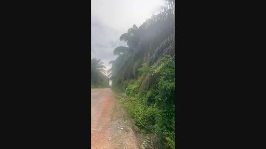 Agricultural Land for Sale in Lukut (Negeri Sembilan) - Tan Y.W. - PropertyGuru.com.my
