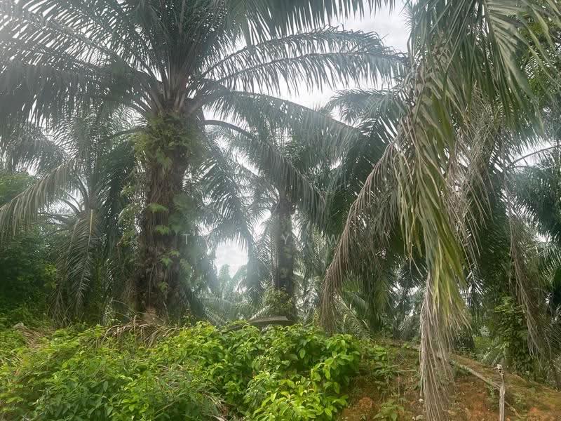 Agricultural Land for Sale in Lukut (Negeri Sembilan) - Tan Y.W. - Exterior - PropertyGuru.com.my