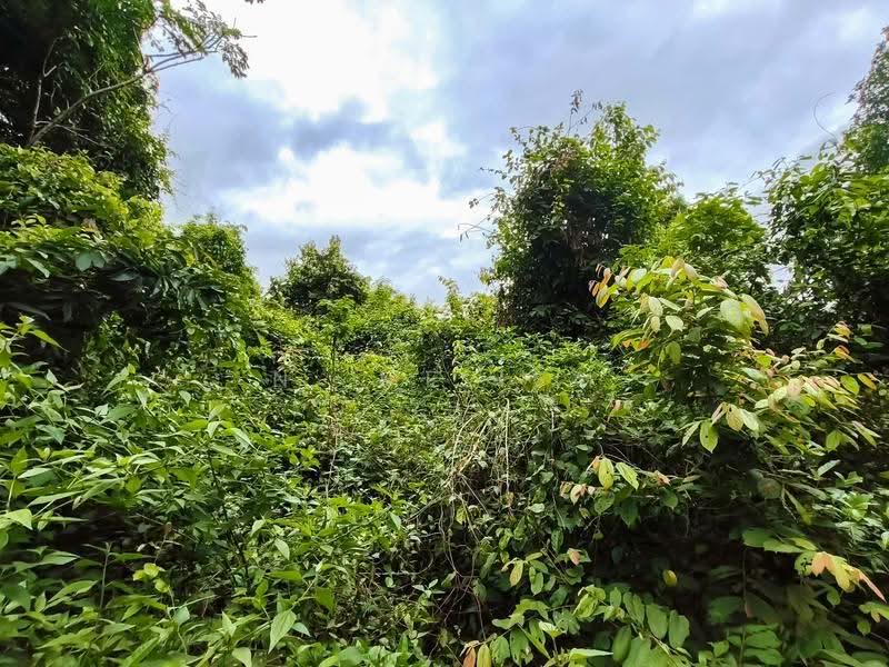 Tanah Pertanian untuk Dijual di Kubang Pasu (Kedah) - N. Melisa - Exterior - PropertyGuru.com.my