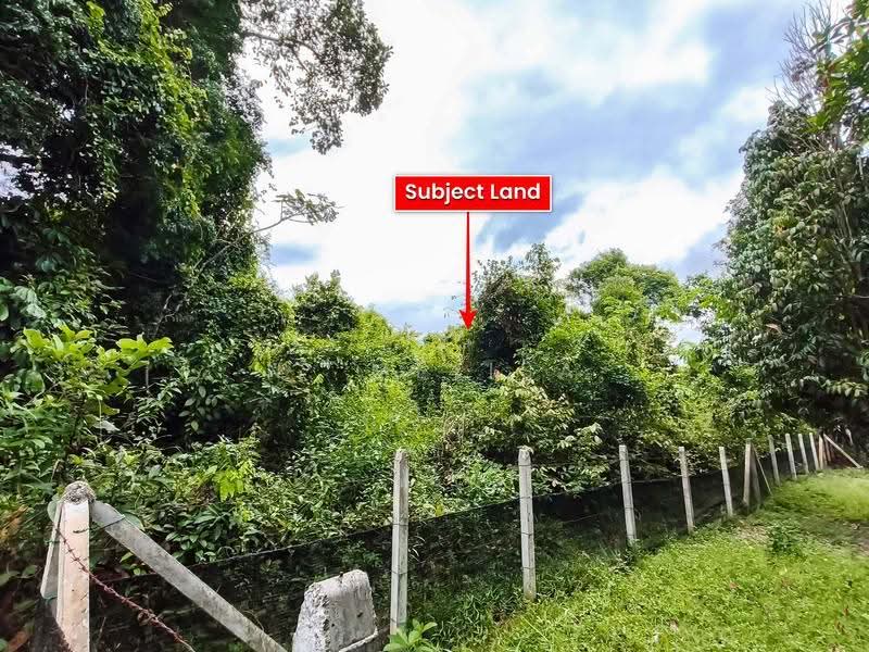 Tanah Pertanian untuk Dijual di Kubang Pasu (Kedah) - N. Melisa - PropertyGuru.com.my