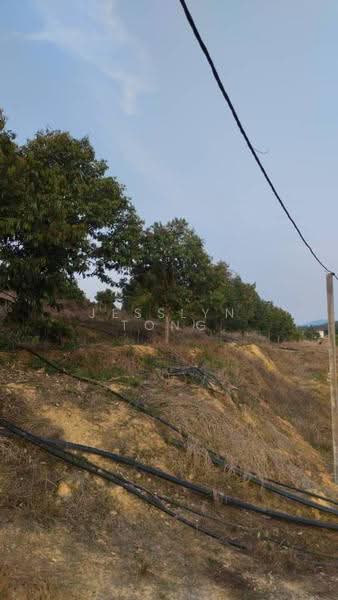 Agricultural Land for Sale in Simpang Pertang (Negeri Sembilan) - Jesslyn Tong - Exterior - PropertyGuru.com.my